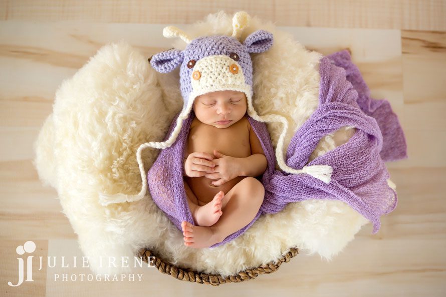 purple giraffe newborn baby