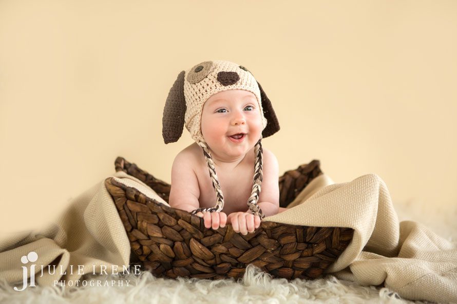 Dog baby photo in a basket