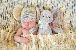 elephant sleep time pose newborn photo