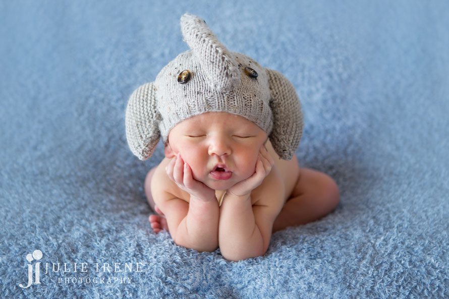 elephant knit hat newborn photography jon1