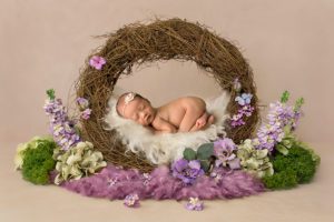 newborn girl flowers purple prop