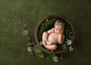 succulents and newborn baby girl green