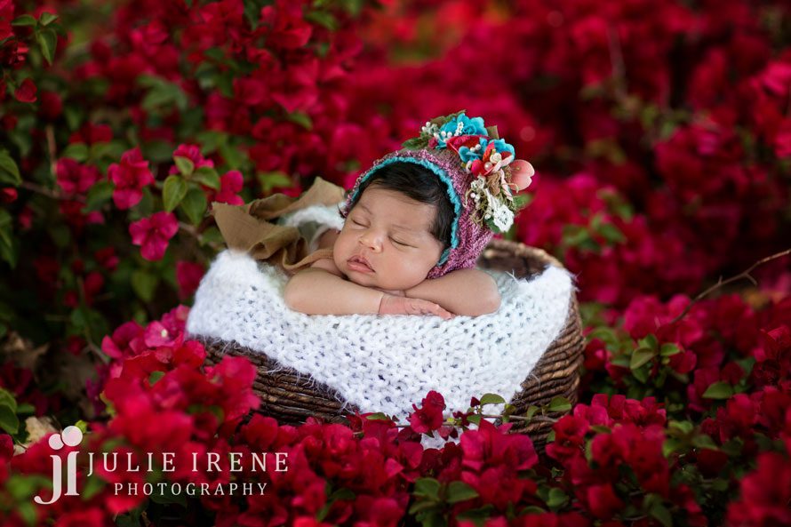 San Clemente newborn photographer flowers