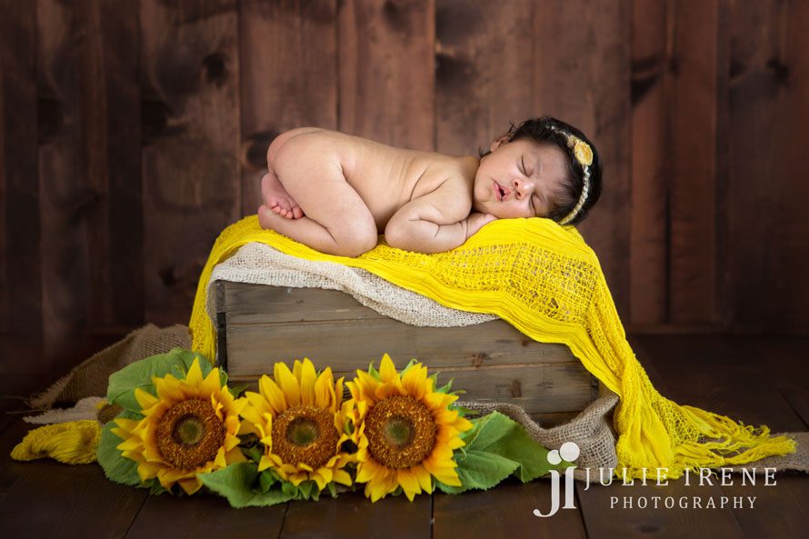 San Clemente newborn photographer sunflowers