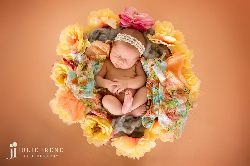 indianna flower orange newborn photo