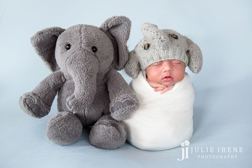 elephant newborn photography photo gray girl