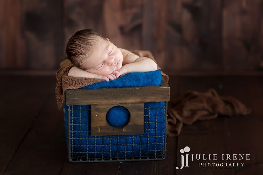 dark browns and blues newborn crate photo