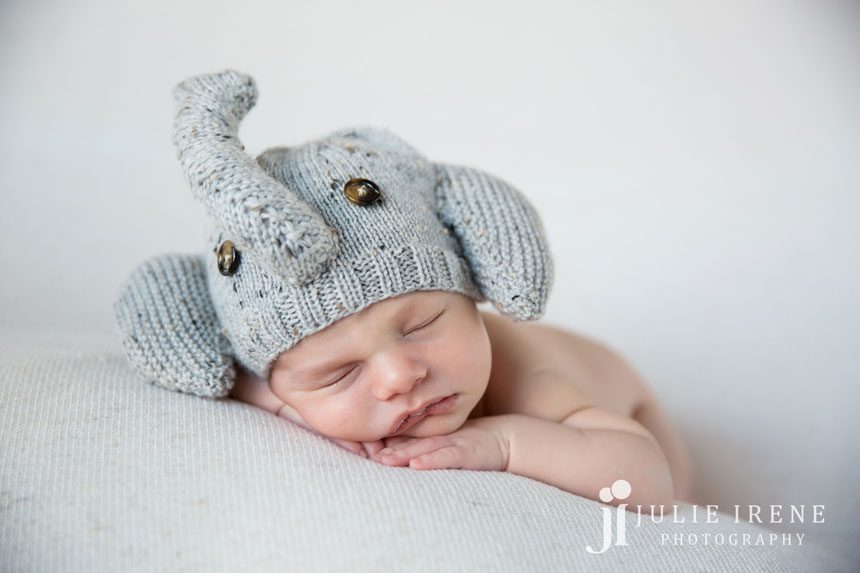 elephant knit hat newborn photography oc