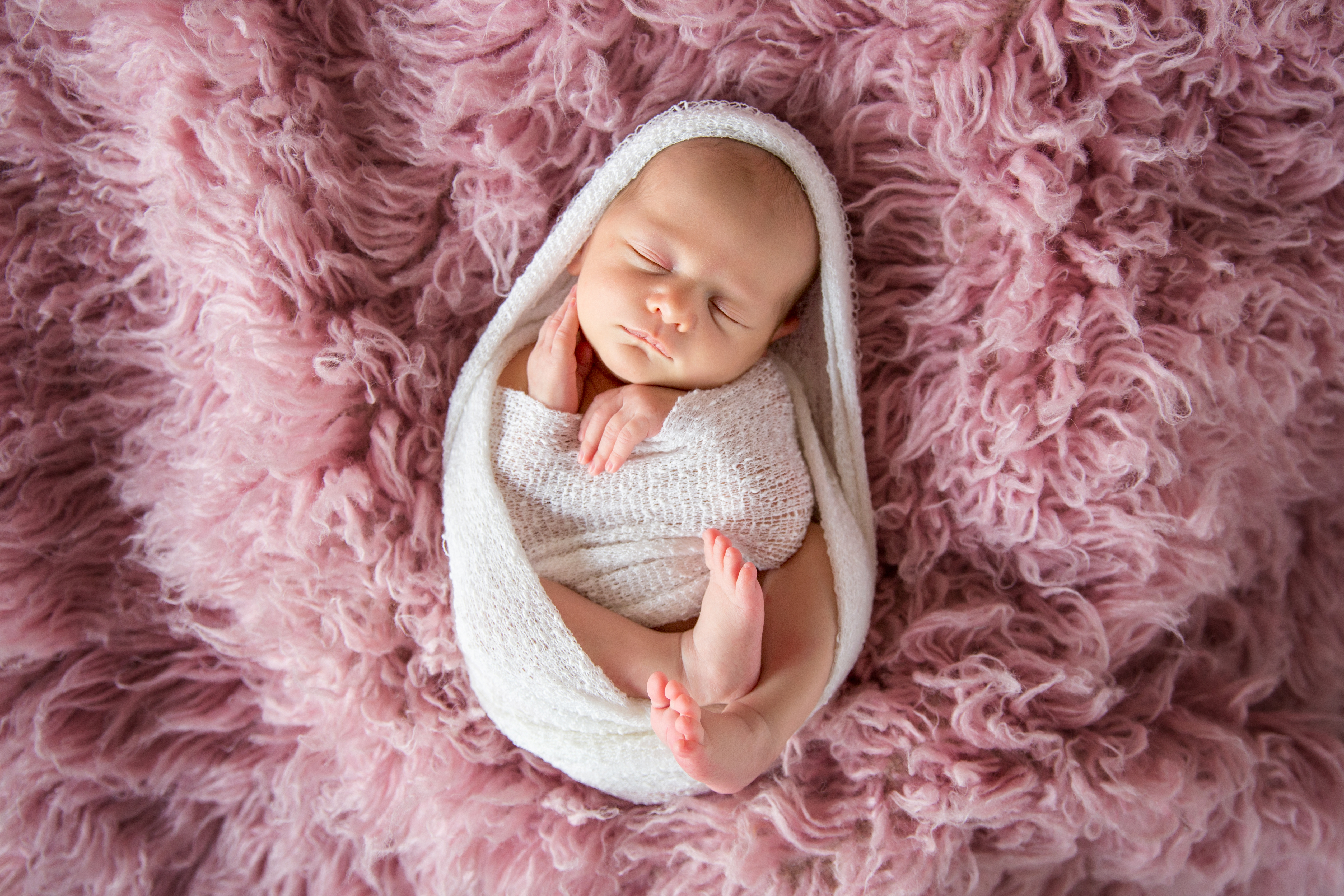 peanut newborn baby pink girl photo