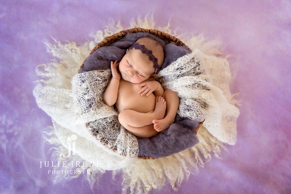 purple basket newborn photography orange county