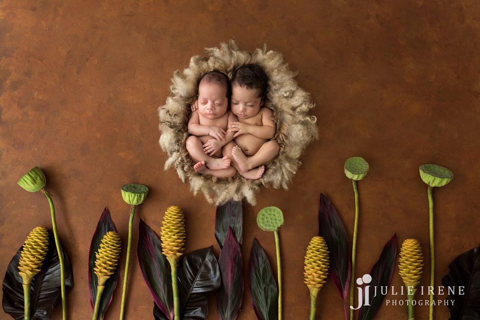 digital backdrop twin newborn photography