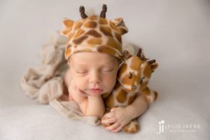 giraffe newborn photography julie irene