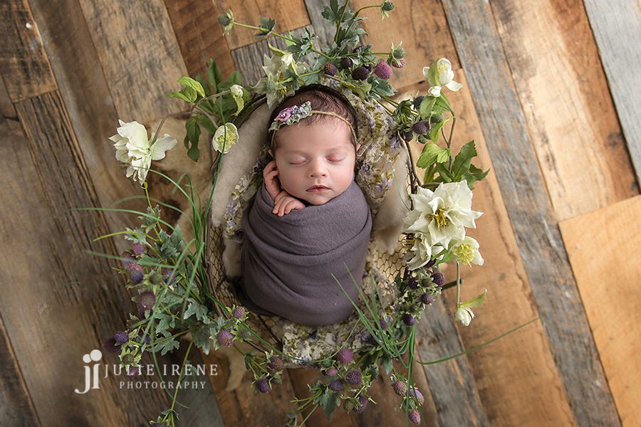 ladera ranch newborn pictures with fake flowers