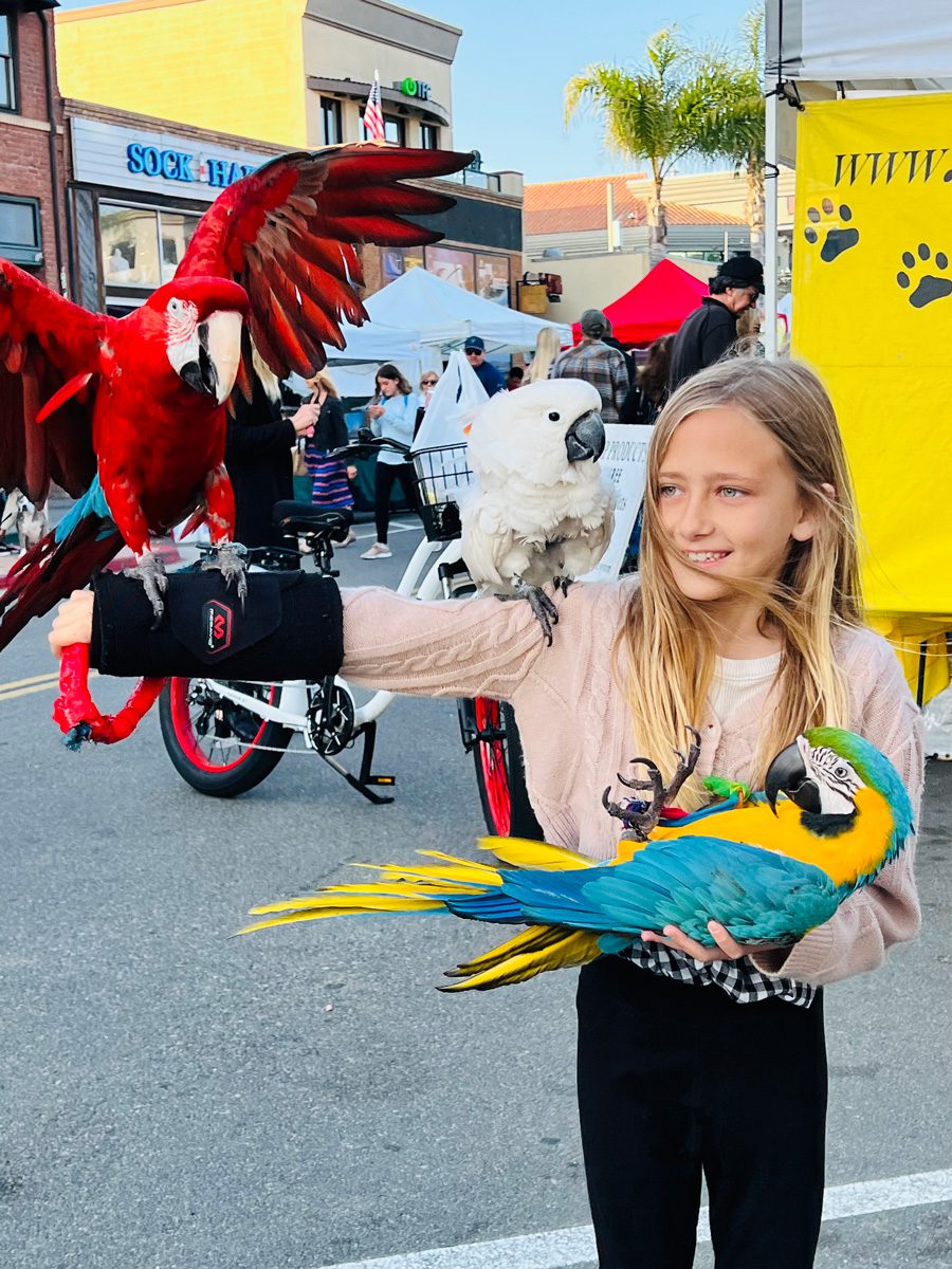 little girl holding big birds